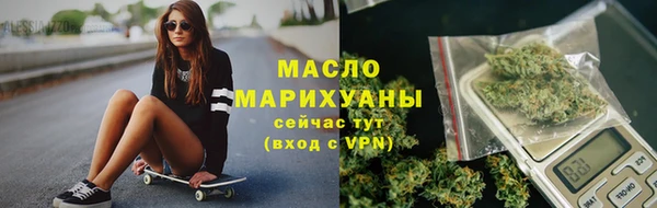 молекула духа Кулебаки
