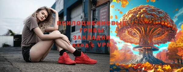 молекула духа Кулебаки