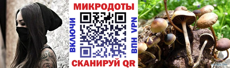 OMG tor  Назарово  Псилоцибиновые грибы Cubensis  продажа наркотиков 