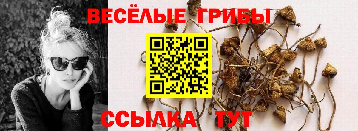 как найти наркотики  Назарово  Галлюциногенные грибы Magic Shrooms 