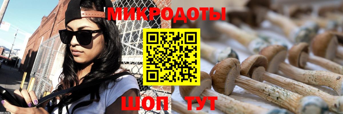 Псилоцибиновые грибы Psilocybe Назарово
