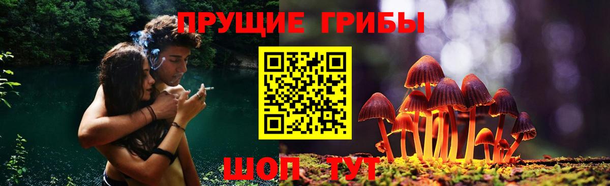 Галлюциногенные грибы Cubensis  Вход с VPN  Галлюциногенные грибы Magic Shrooms  Назарово 
